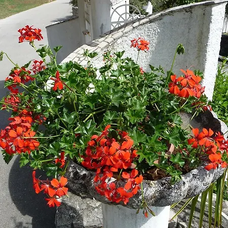 Noris Apartman Pula